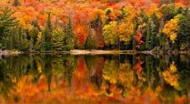 NYHEDSBREV – september 2025